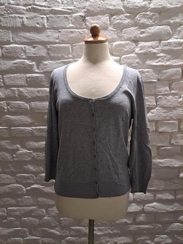 Sutherland Vest - Maat 42, Kleding | Dames, Truien en Vesten, Zo goed als nieuw, Maat 42/44 (L), Grijs, Verzenden
