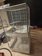 Knaagdieren (ratten kooi groot dubbel, Dieren en Toebehoren, Knaagdieren en Konijnen | Hokken en Kooien, Ophalen, Kooi, Geen, 90 cm of meer