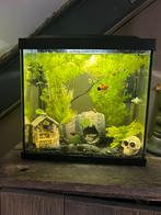 Aquarium, Dieren en Toebehoren, Ophalen, Zo goed als nieuw, Leeg aquarium
