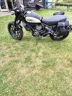 Ducati scrambler 800 Icon, Motoren, Motoren | Ducati, 2 cilinders, Motorrijbewijs A, Particulier, Meer dan 35 kW
