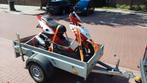 Malaguti f15 firefox lc dd project, Fietsen en Brommers, Ophalen, Gebruikt