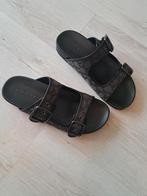 slippers coach new york nieuw maat 41, Ophalen of Verzenden, Nieuw, Zwart