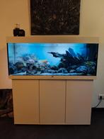 Mooi Juwel Aquarium, Ophalen of Verzenden, Zo goed als nieuw