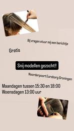 Model gezocht, Sieraden, Tassen en Uiterlijk, Uiterlijk | Haarverzorging, Ophalen of Verzenden, Zo goed als nieuw, Haarverzorger of -hersteller