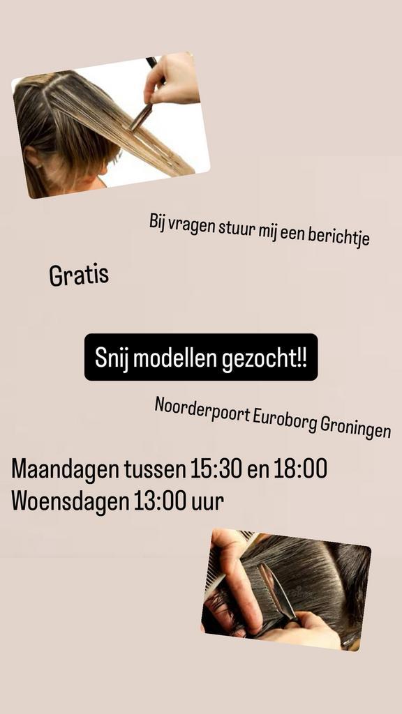 Model gezocht, Sieraden, Tassen en Uiterlijk, Uiterlijk | Haarverzorging, Zo goed als nieuw, Haarverzorger of -hersteller, Ophalen of Verzenden