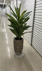 Schelpenvaas met vol groene bloesem of plant, Ophalen of Verzenden
