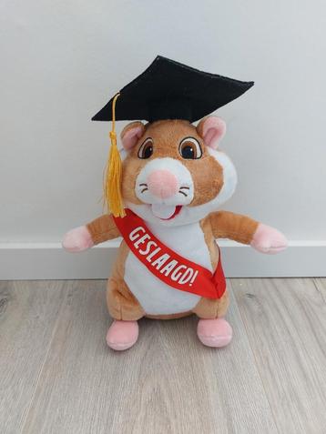 Knuffel hamster Albert Heijn Ah geslaagd feestje L239 beschikbaar voor biedingen