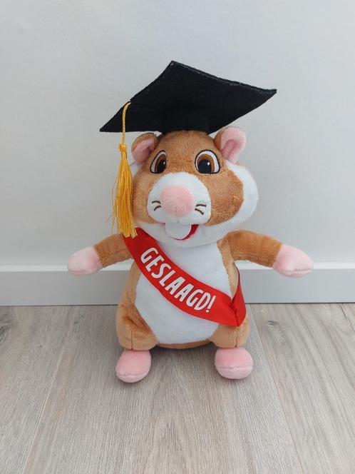 Knuffel hamster Albert Heijn Ah geslaagd feestje L239, Kinderen en Baby's, Speelgoed | Knuffels en Pluche, Zo goed als nieuw, Overige typen