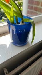 Blauw potje glas dutz, Huis en Inrichting, Blauw, Ophalen of Verzenden, Minder dan 50 cm, Glas