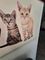 Kerst en vele andere potlodenmapjes wandborden tafeltjes, Ophalen of Verzenden