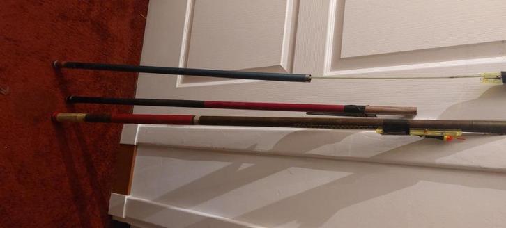 hengels, Watersport en Boten, Hengelsport | Algemeen, Gebruikt, Vaste hengel, Ophalen of Verzenden