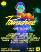 Ticket Paradise x Loveland (ADE 2025), Tickets en Kaartjes, Evenementen en Festivals, Eén persoon