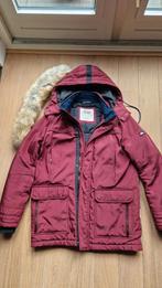 Tommy Hilfiger winterjas heren maat L, Maat 52/54 (L), Overige kleuren, Tommy Hilfiger, Ophalen of Verzenden