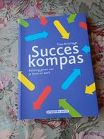 Theo Buijsrogge - Succeskompas, Theo Buijsrogge, Ophalen of Verzenden, Ontwikkelingspsychologie, Zo goed als nieuw