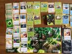 Pokemon Sword & Shield Rillaboom Theme Deck, Ophalen of Verzenden, Zo goed als nieuw, Speeldeck