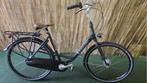 2385 Gazelle Bloom C7