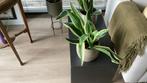 LeoLux kleine tafel, Huis en Inrichting, Tafels | Salontafels, Ophalen of Verzenden, Gebruikt