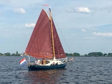 Dordtse Hoogaars met ophaalbaar midzaard beschikbaar voor biedingen