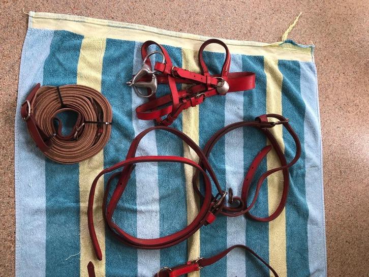 Mentuig tuig enkelspan mt minishet minipaardje mini, Dieren en Toebehoren, Paarden en Pony's | Hoofdstellen en Tuigage, Gebruikt