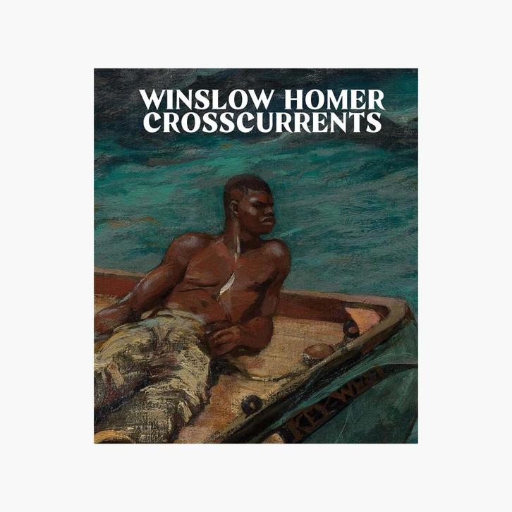 Winslow Homer - Crosscurrents, Boeken, Kunst en Cultuur | Beeldend, Nieuw, Schilder- en Tekenkunst, Ophalen of Verzenden