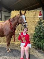 Verzorger aangeboden in helmond!, Ophalen of Verzenden