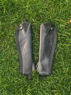 Kavalkade chaps Alessia, Dieren en Toebehoren, Paardrijkleding, Dames, Ophalen of Verzenden, Schoeisel, Nieuw