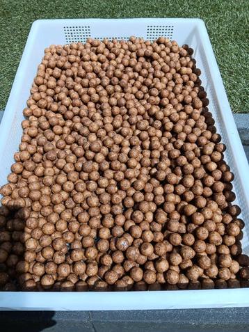 promotie week tijgernoot premium boilies beschikbaar voor biedingen