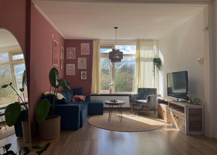 Tijdelijke huur Zutphen, Huis en Inrichting, Kamerplanten, Ophalen of Verzenden