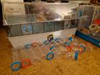 Hamsterkooien incl toebehoren, Dieren en Toebehoren, Knaagdieren en Konijnen | Hokken en Kooien, Kooi, Gebruikt, Minder dan 75 cm