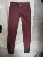 Bordeaux rode chic paardrijbroek maat 158, Ophalen of Verzenden, Zo goed als nieuw, Onderkleding