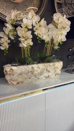 Langwerpig nieuw schelpvaas schelpenvaas vaas eric kuster, Wit, Aardewerk of Porselein, Nieuw, Ophalen of Verzenden