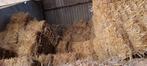 Stro paard pony schaap geit koe Kalf hooi Alpaca, Dieren en Toebehoren, Dierenvoeding, Ophalen of Verzenden, Knaagdier of Konijn