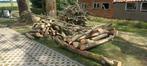 Essenhout haardhout kachelhout 7m3, Tuin en Terras, Haardhout, 6 m³ of meer, Ophalen, Essenhout, Stammen