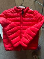 Rode Richmond Sport Jas, Ophalen of Verzenden, Zo goed als nieuw, Maat 38/40 (M), Rood