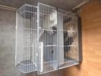 Grote knaagdieren/konijnen kooi, Dieren en Toebehoren, Ophalen, Kooi, Gebruikt, 90 cm of meer