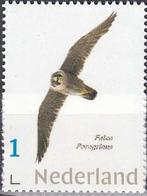 Nederland- Persoonlijke- Natuur- Roofvogels- Slechtvalk - P, Verzenden, Na 1940, Postfris