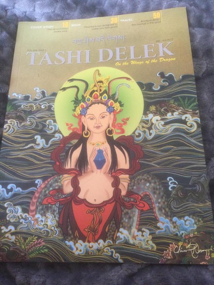 Reis informatie over BHUTAN, Boeken, Reisgidsen, Nieuw, Reisgids of -boek, Europa, Overige merken, Ophalen of Verzenden