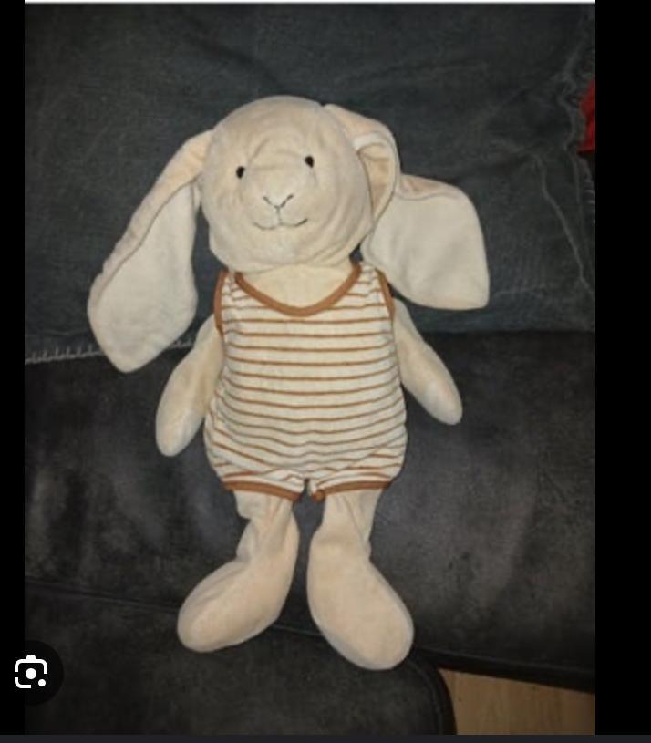 Lief Konijn Knuffel GEZOCHT! Fortis Bank Anna club, Kinderen en Baby's, Speelgoed | Knuffels en Pluche, Gebruikt, Konijn, Ophalen of Verzenden