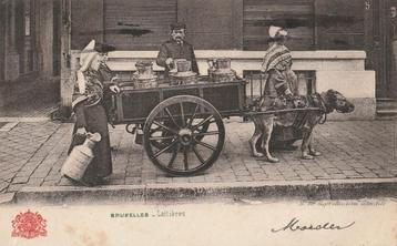 Brussel, HONDENKAR HONDEN KAR beschikbaar voor biedingen