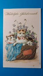 Drie poesjes katjes kitten in een mandje 1905 - reliëf, Ophalen of Verzenden, Voor 1920, Gelopen, Hond of Kat