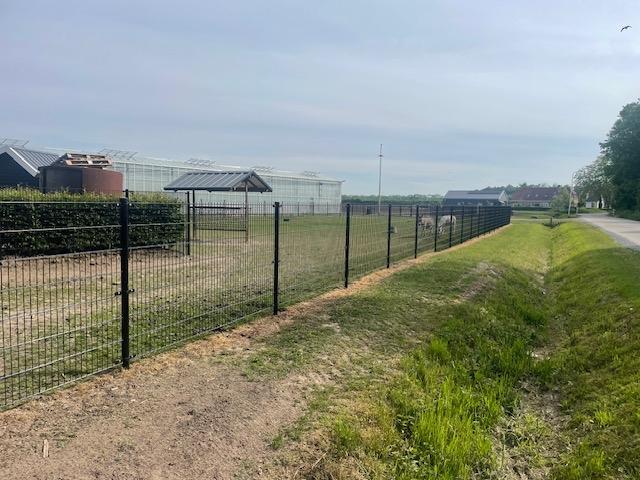 Dubbelstaafmat Hekwerk - Nieuw!, Tuin en Terras, Tuinhekken en Hekwerk, Nieuw, Dubbelstaafmat hekwerk, IJzer, Met poort, Ophalen of Verzenden