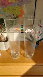 Twee Glazen Vazen 50 cm hoog, Huis en Inrichting, Woonaccessoires | Vazen, Ophalen, Overige kleuren, Glas