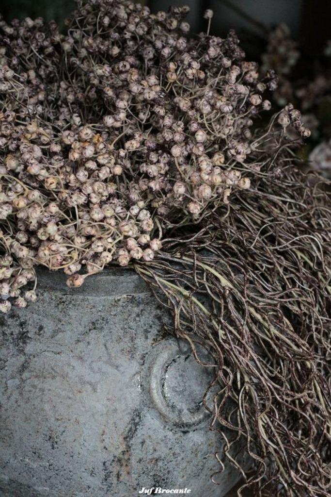 Bosje ilex serrata brown, Huis en Inrichting, Woonaccessoires | Overige, Nieuw, Ophalen of Verzenden