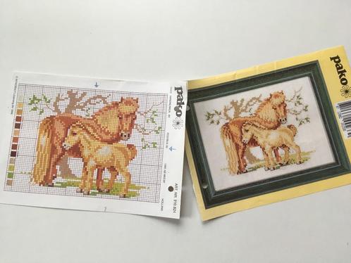 Borduurpatroon pony en veulen, Hobby en Vrije tijd, Borduren en Borduurmachines, Zo goed als nieuw, Patroon, Handborduren, Ophalen of Verzenden