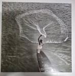 Distance, Light & Sky. Casting Nets., Ophalen of Verzenden, 2000 tot heden, Zo goed als nieuw, 12 inch