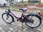 kinderfiets 20 inch, Fietsen en Brommers, Fietsen | Kinderfietsjes, Ophalen, Gebruikt, 16 tot 20 inch, Giant