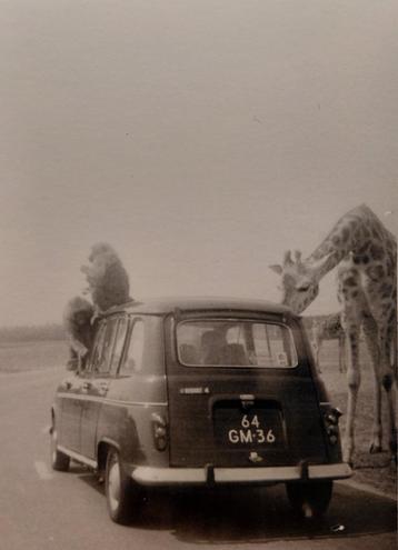 GEZOCHT: Fam. uit Papendrecht / v. gevonden foto's retour beschikbaar voor biedingen