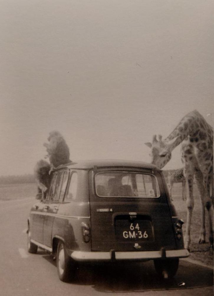 GEZOCHT: Fam. uit Papendrecht / v. gevonden foto's retour, Contacten en Berichten, Gevonden voorwerpen