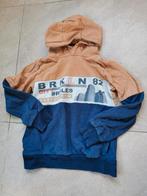 Trui Hoodie - Leuke Kinderkleding, Gebruikt, Jongen of Meisje, Ophalen of Verzenden, Trui of Vest