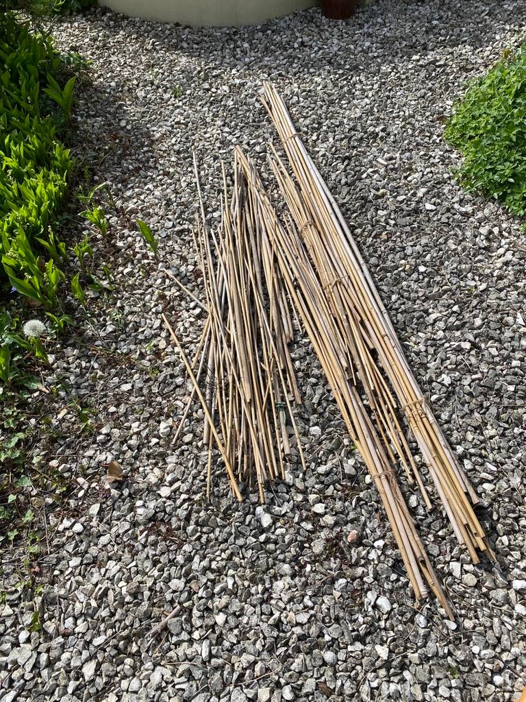 Diverse lengtes bamboestokken in 1 koop, Ophalen of Verzenden, Zo goed als nieuw, 250 cm of meer, Balken